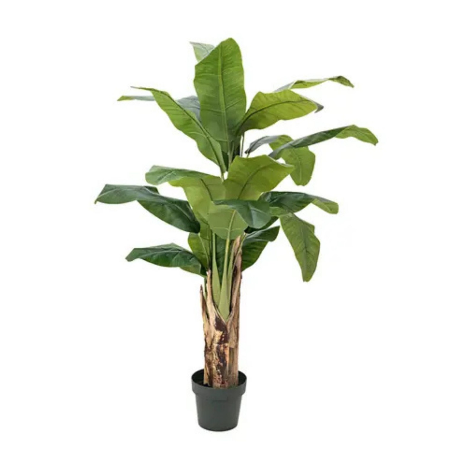 Bananenbaum, Kunstpflanze, 120cm mieten – Rundumevent