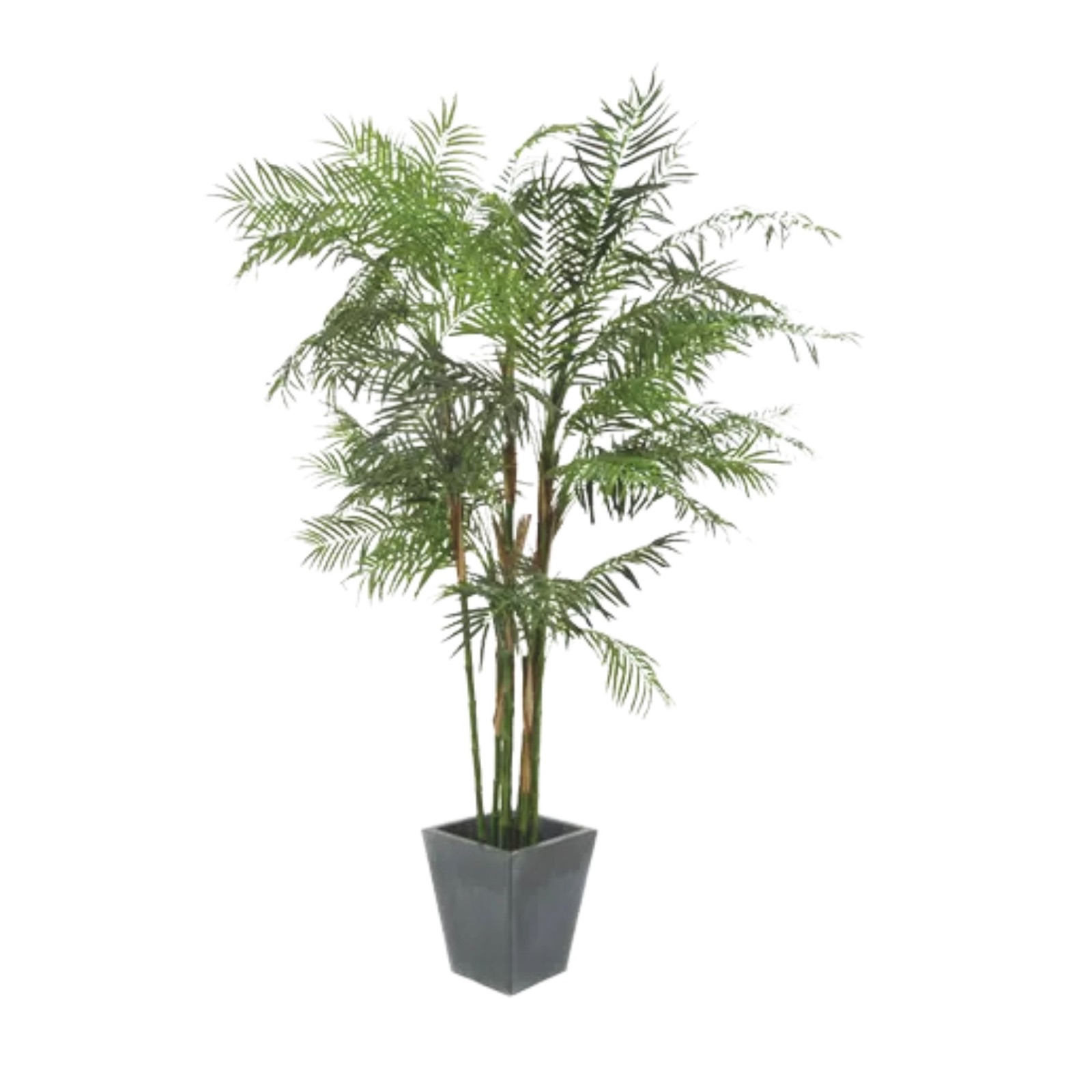 Cycasrohr Palme, Kunstpflanze, 280cm mieten – Rundumevent