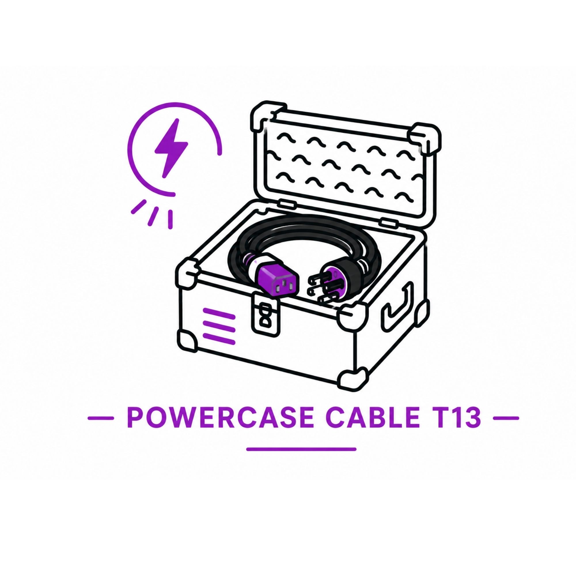 Powercase Kabel T13 mieten – Rundumevent